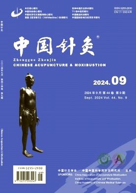 中国针灸封面